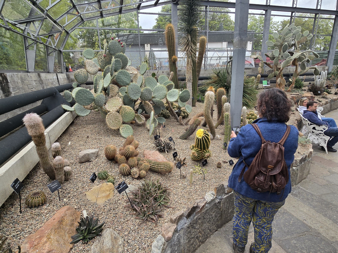 Duthie Park Winter Gardens-阿伯丁必去景点