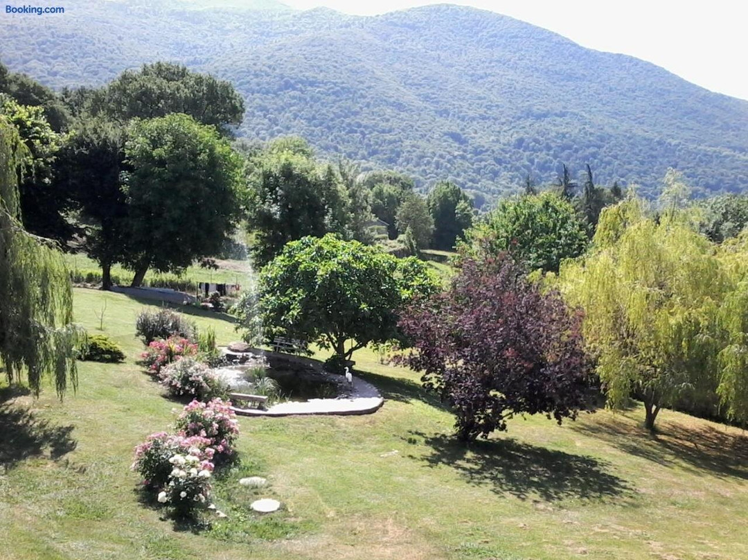 L'eden