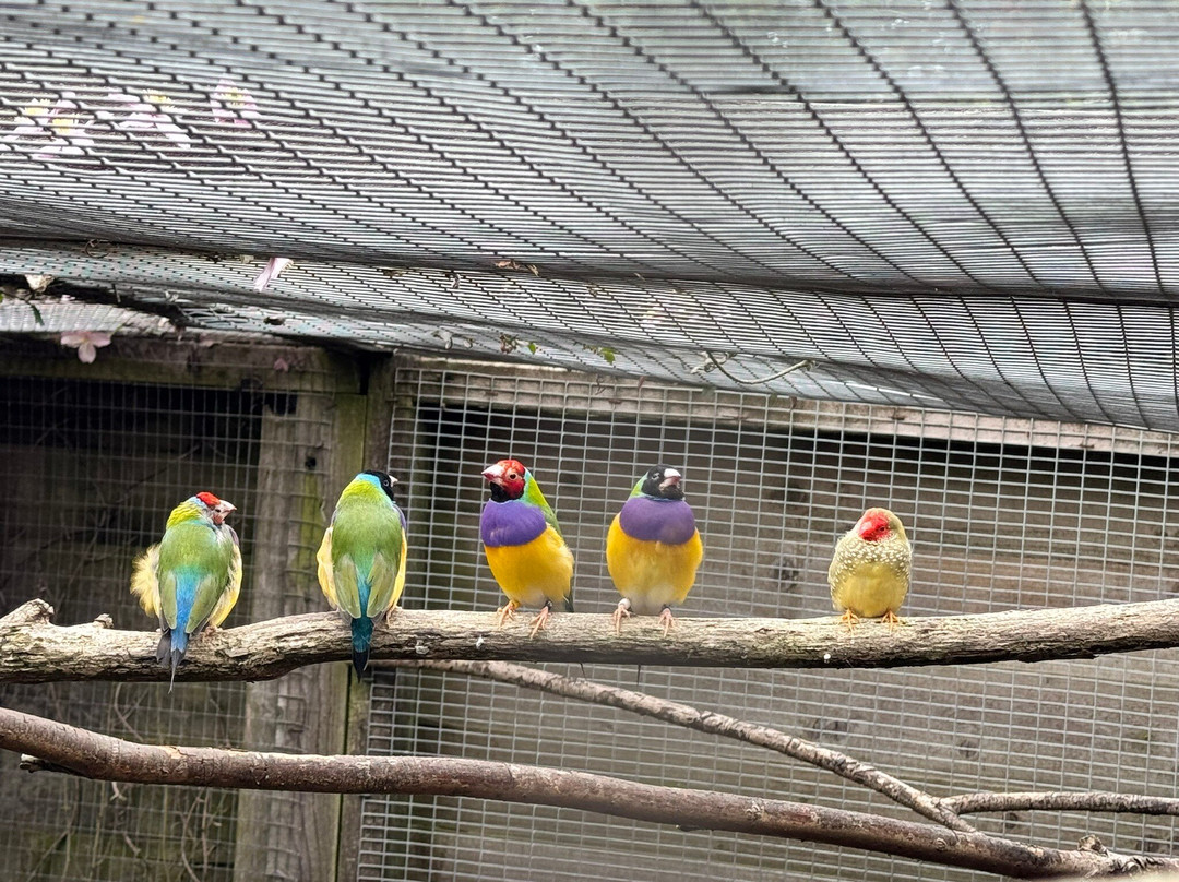 Filey Zoo-Filey必去景点