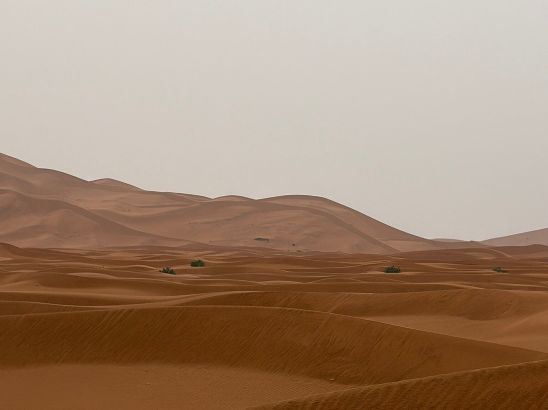 Sahara Tours Marocco-马拉喀什必去景点