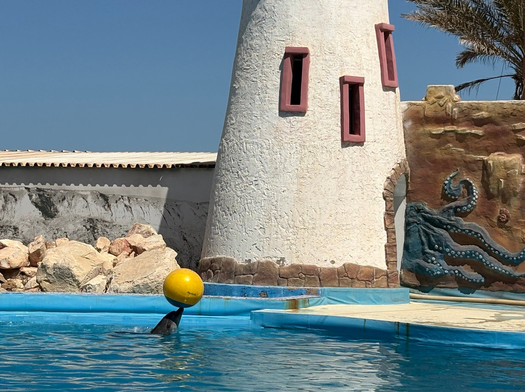 Agadir Dolphin World-阿加迪尔必去景点