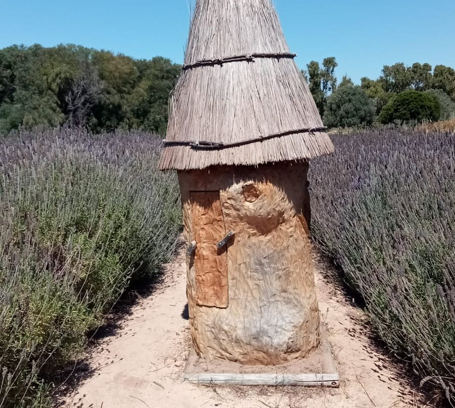 Bee Garden Alghero-阿尔盖罗必去景点