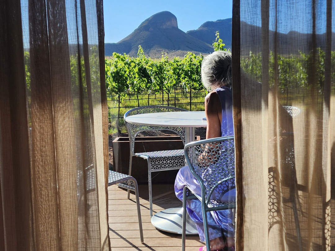 Los Milics Vineyards-Elgin必去景点