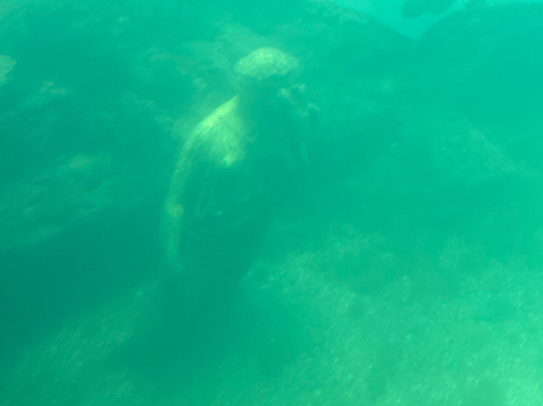 Parco Archeologico Marino Sommerso di Baia - Battello Cymba-Baiae必去景点