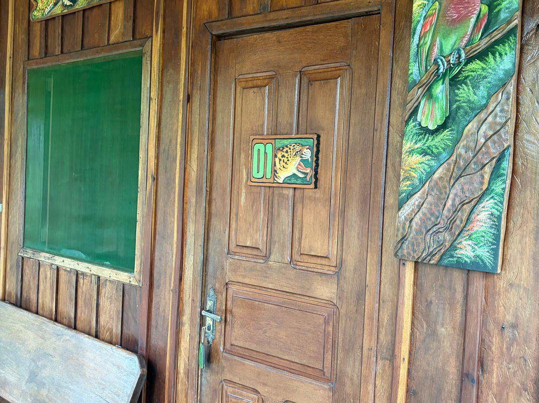 Amazon Antonio Jungle Tours-玛瑙斯必去景点