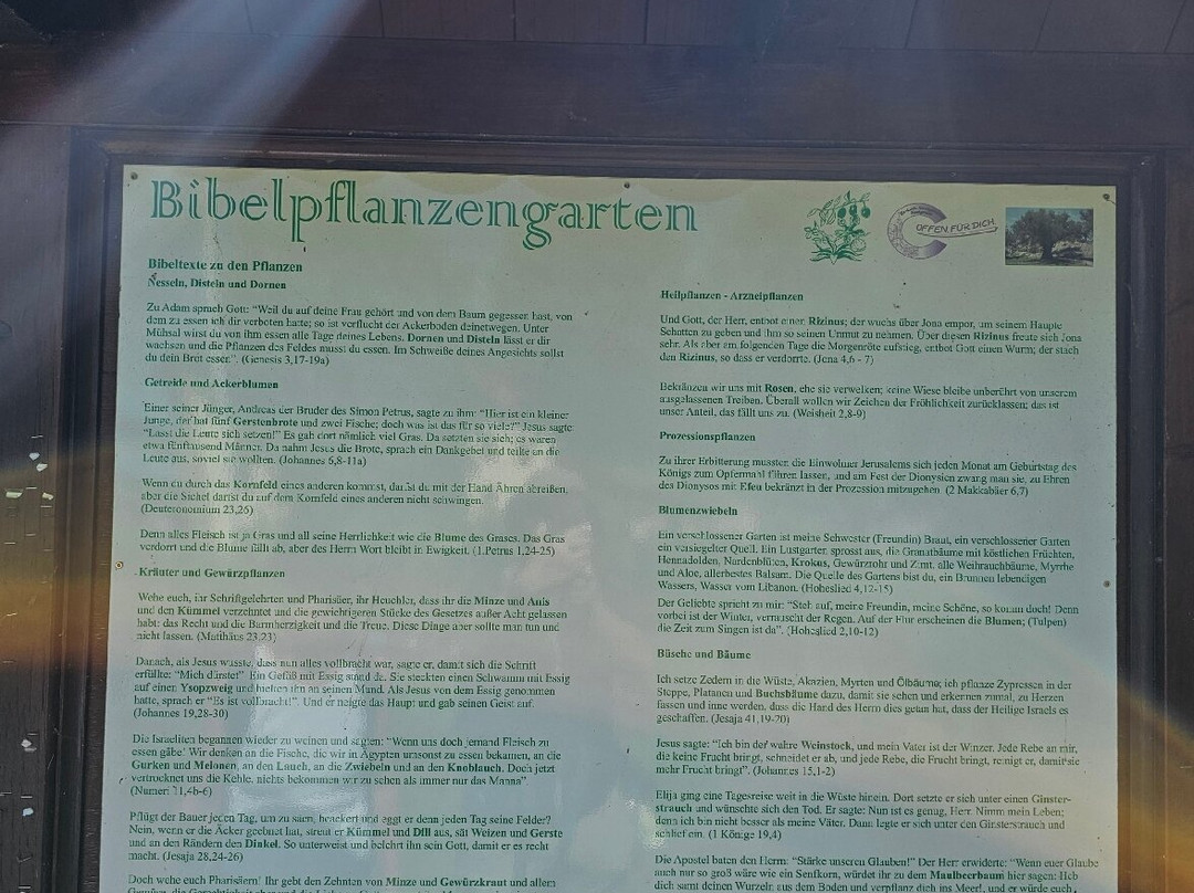 Bibelpflanzengarten-Koenigstein必去景点