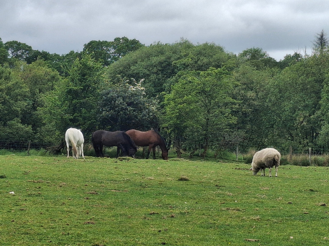 Mossburn Community Farm-Lockerbie必去景点
