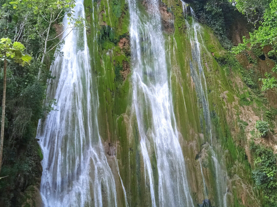 Experiencia salto del limón