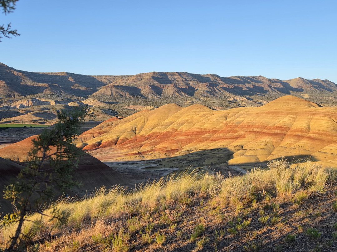 Painted Hills-Prineville必去景点