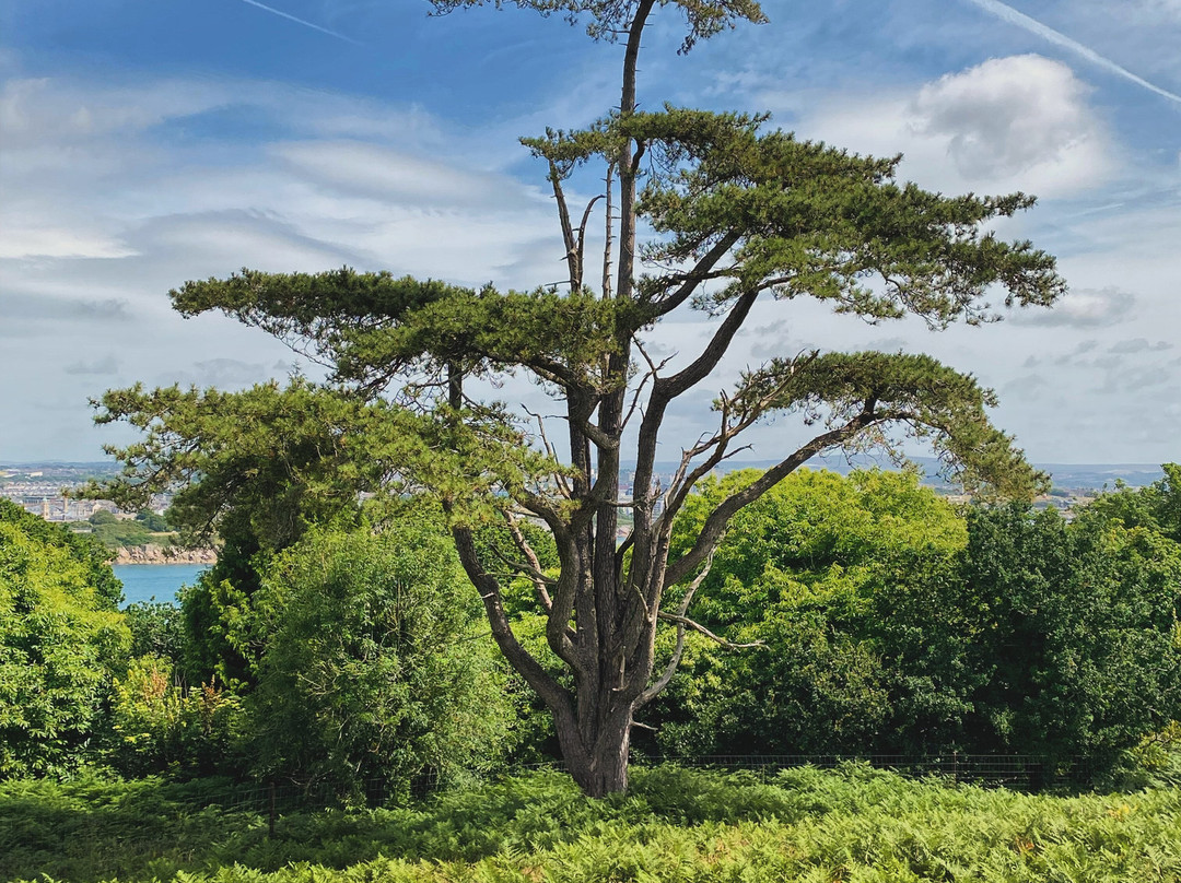 Mount Edgcumbe House and Country Park-托波因特必去景点