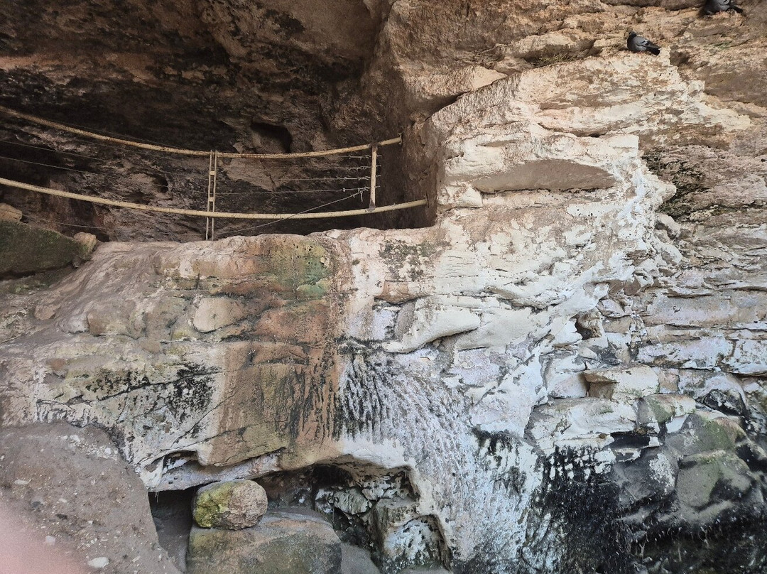 Adullam Grove Nature Reserve-Beit Shemesh必去景点