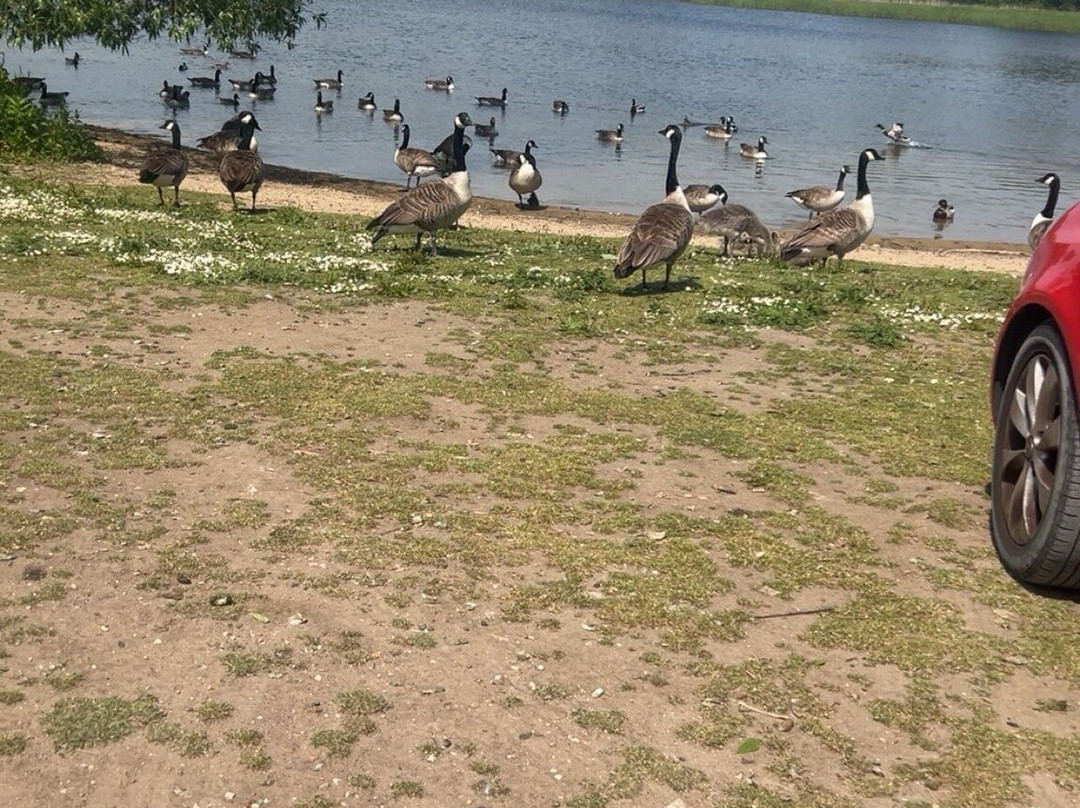 Hornsea Mere-Hornsea必去景点