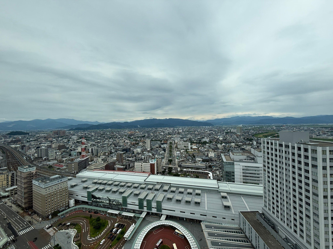 Dinosaur Station at Fukui Station-福井市必去景点