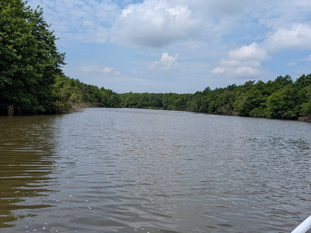 Paliastomi Lake-Poti必去景点