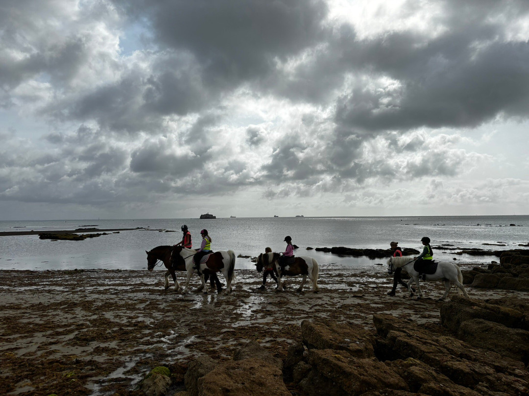 Sally's Riding School-St Helens必去景点