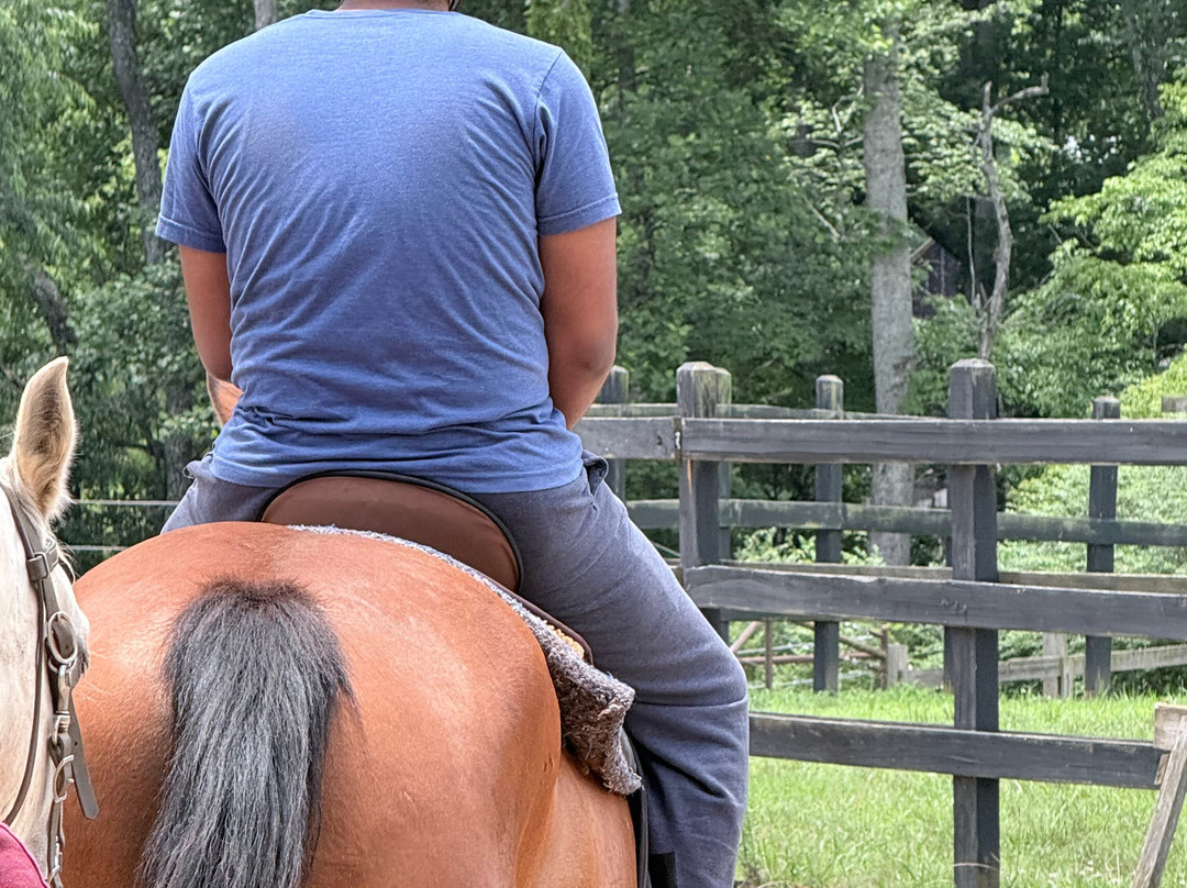 Appalachian Trail Rides-Mineral Bluff必去景点