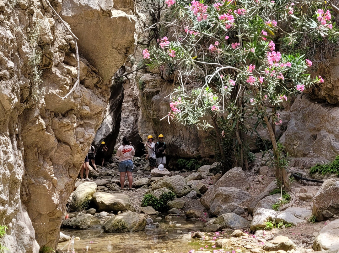 Avakas Gorge-帕福斯必去景点