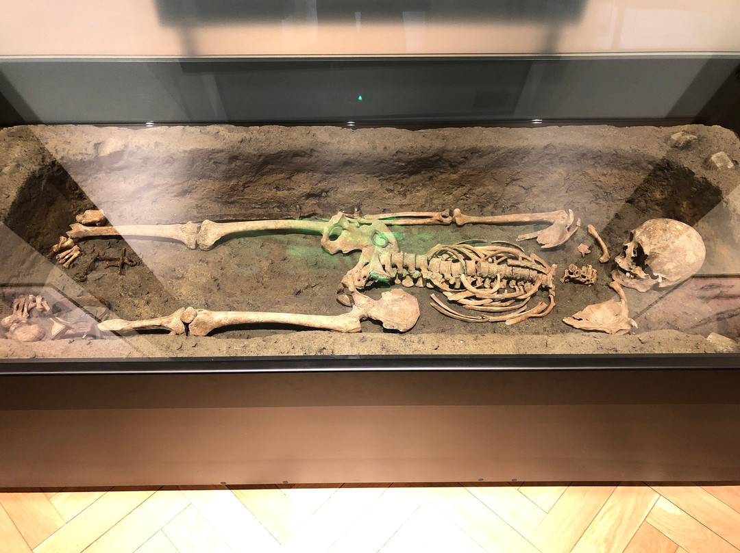 Complexul Muzeal Arad - Archaeology-History Section-阿拉德必去景点