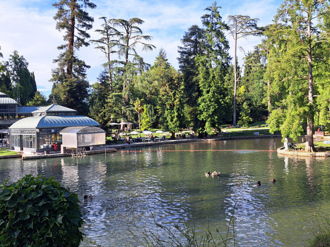 Parco Termale Del Garda Villa Dei Cedri-Cola必去景点
