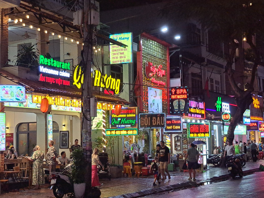 芽庄加里奥特酒店主图