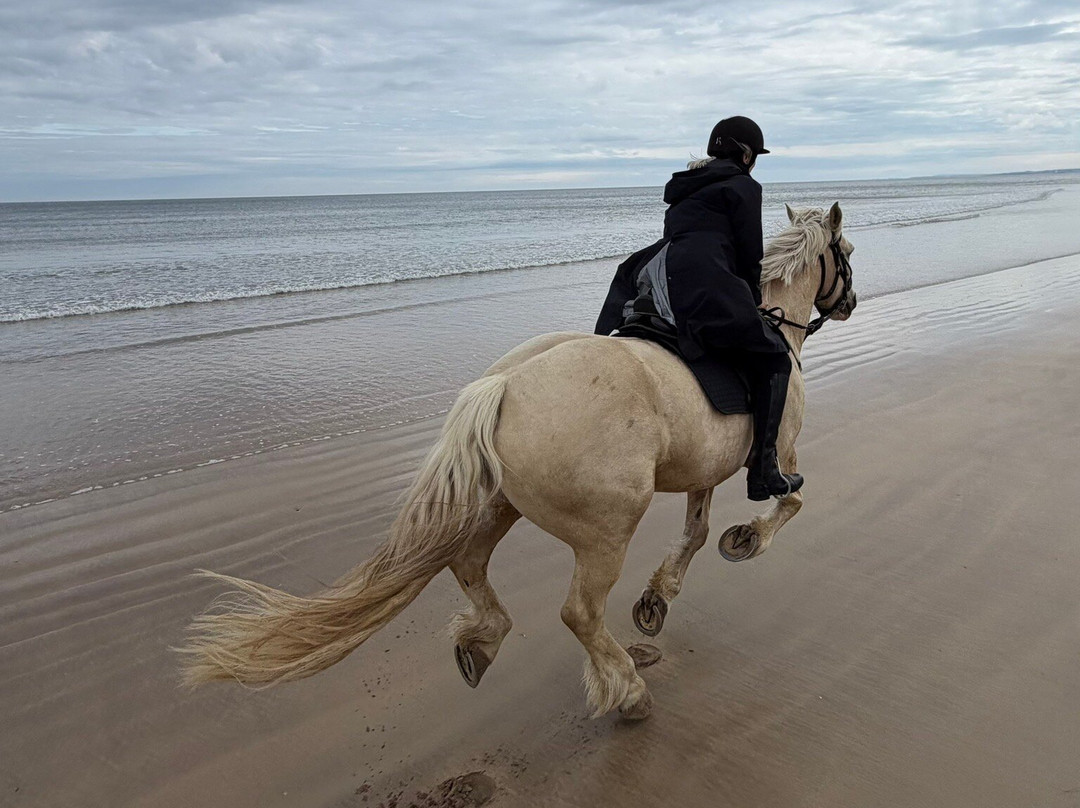 Bespoke Equestrian Ireland-都柏林必去景点