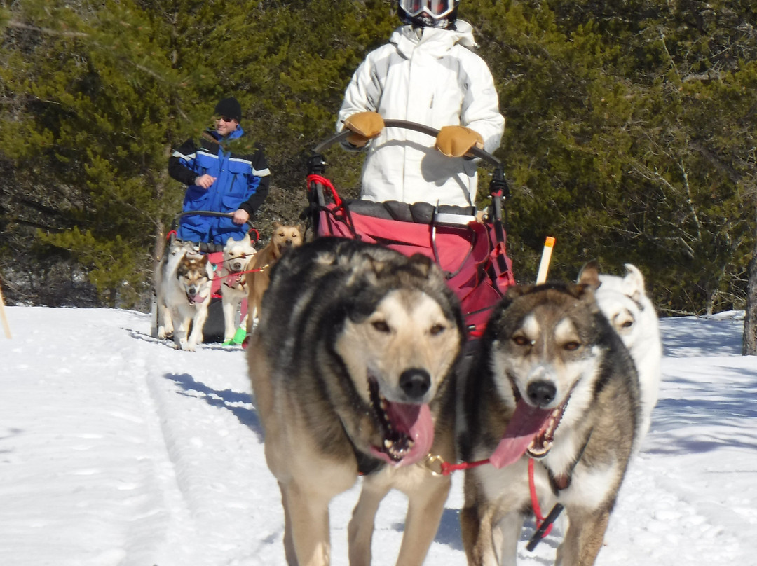 Nature's Kennel Sled Dog Adventures-McMillan必去景点