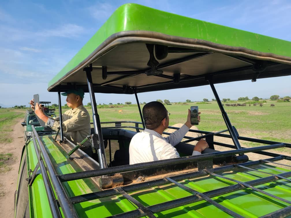 Gorilla Safaris Uganda-坎帕拉必去景点