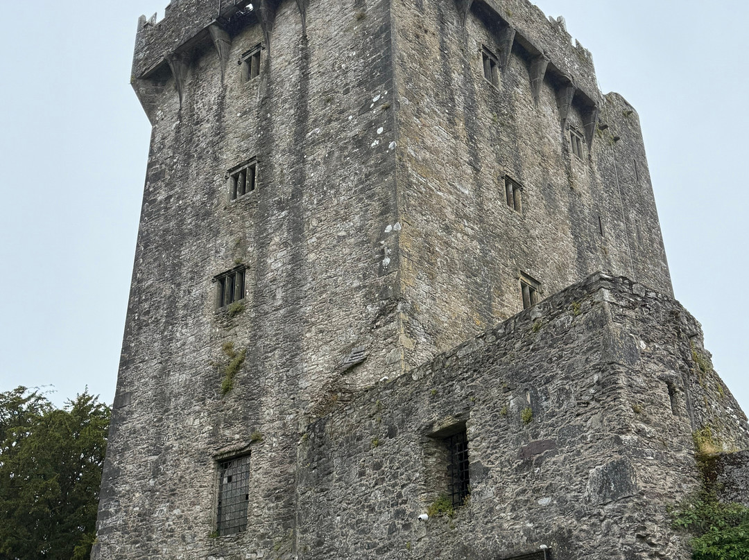 Love Irish Tours-都柏林必去景点