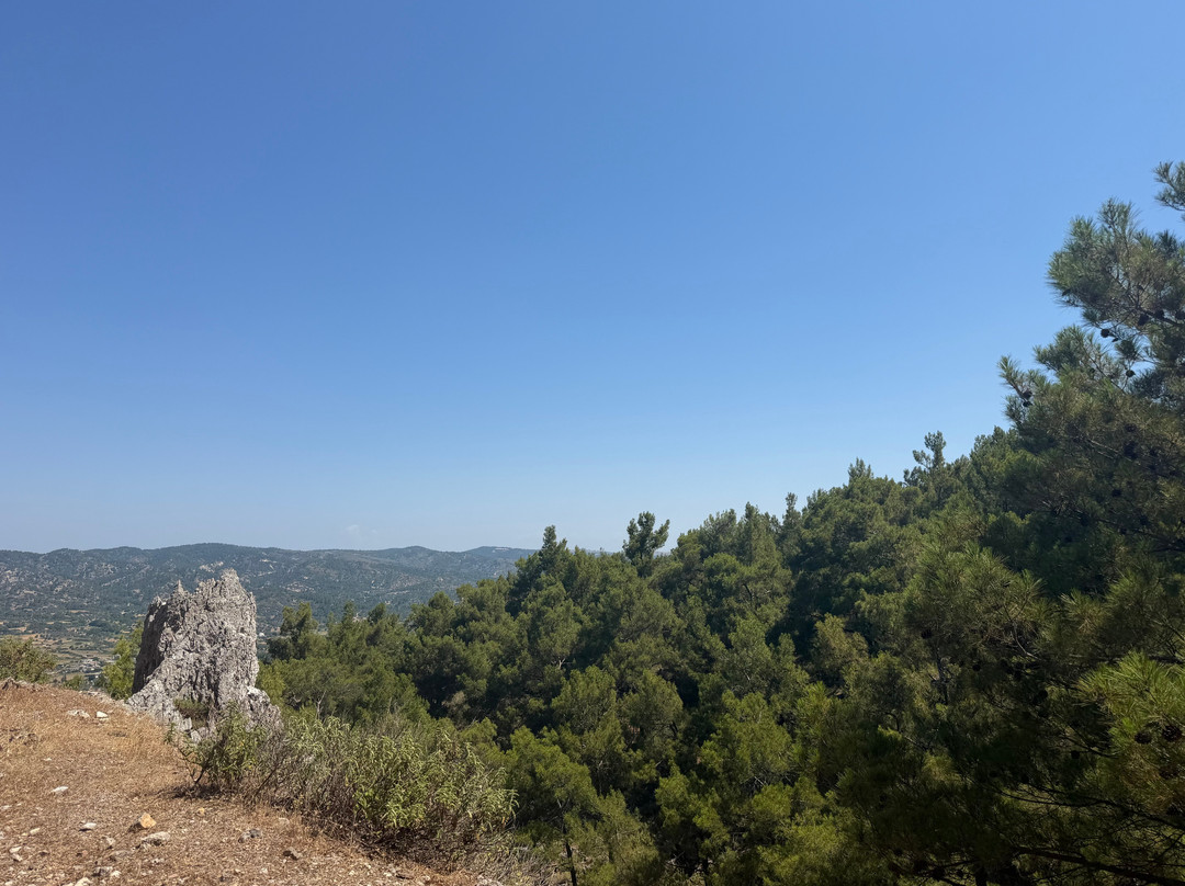 Rhodes Buggy Safari....more than an adventure-科林比亚必去景点