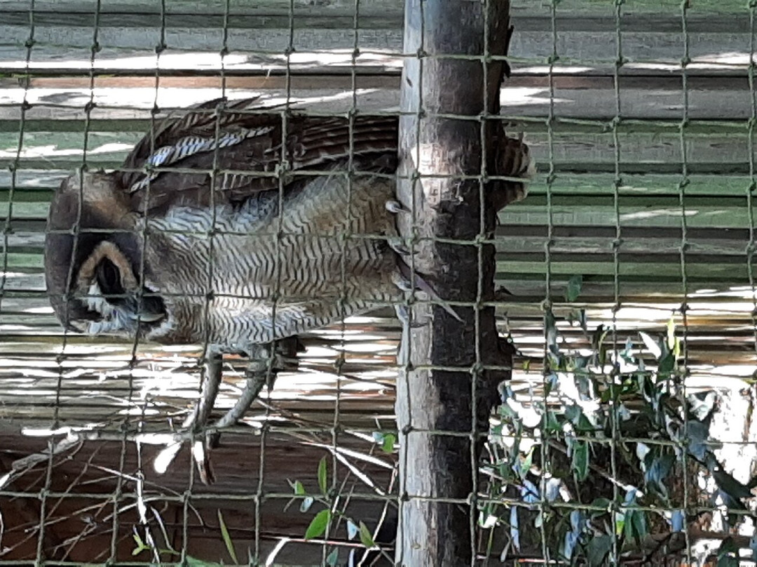 Northumberland Zoo-莫佩思必去景点