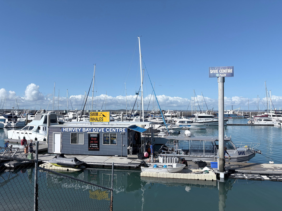 Hervey Bay Dive Centre-尤兰根必去景点