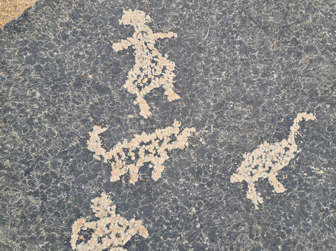 边境河度假村