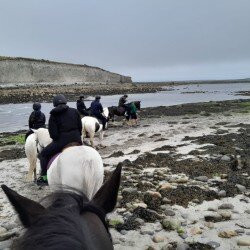Moycullen Riding Centre-Moycullen必去景点