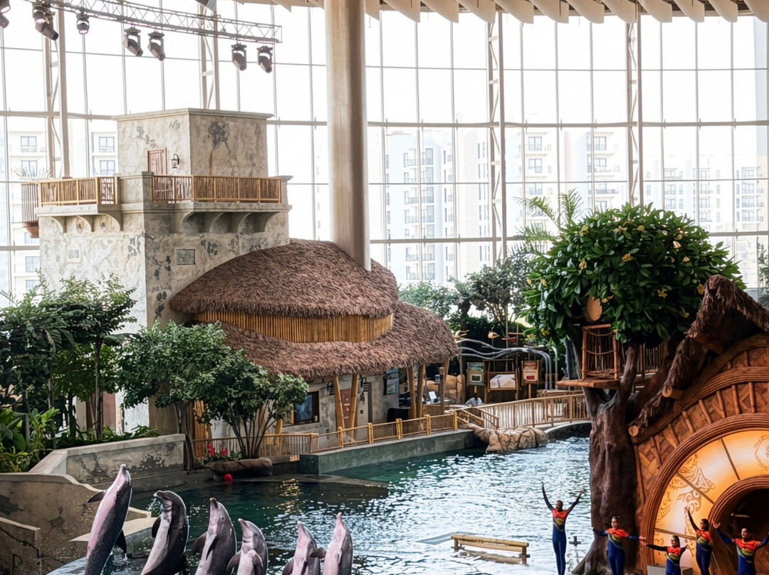 SeaWorld Yas Island Abu Dhabi-阿布扎比必去景点