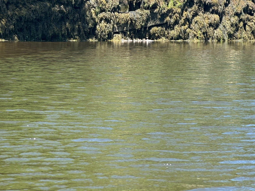 Water Walker Sea Kayak-Monroe必去景点