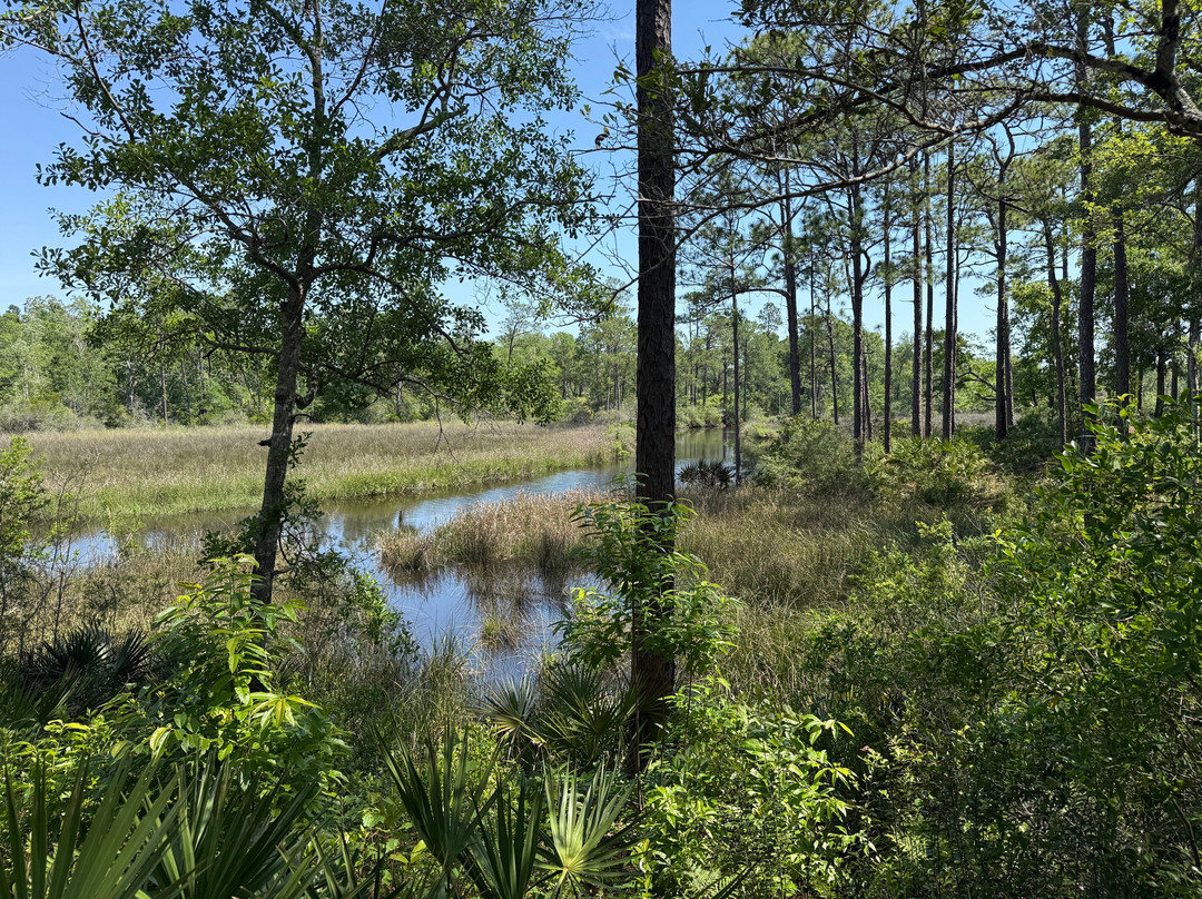 Fontainebleau Nature Trail-Ocean Springs必去景点