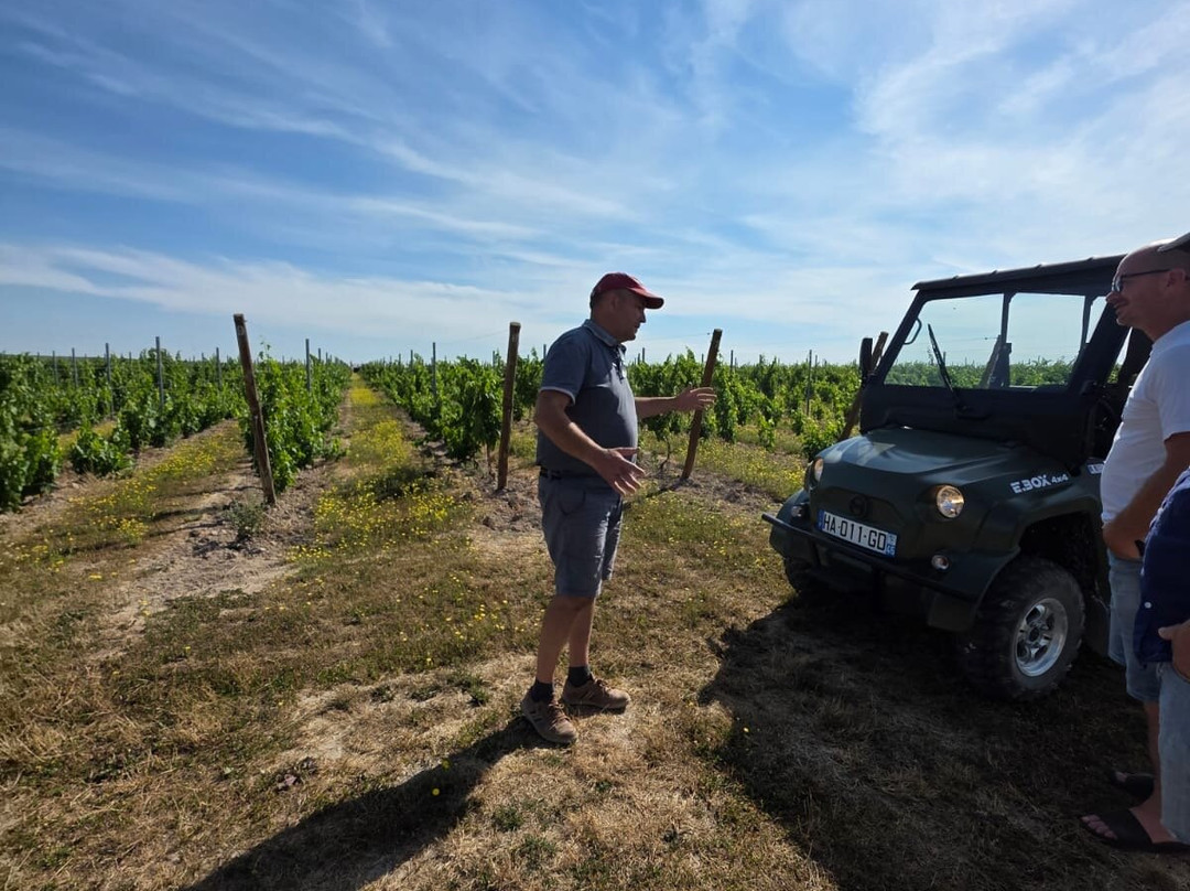Domaine APRONIE-Marigny-le-Chatel必去景点