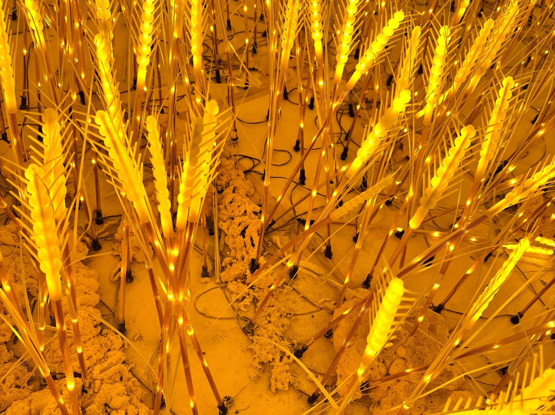 Metashow Exhibition-胡志明市必去景点
