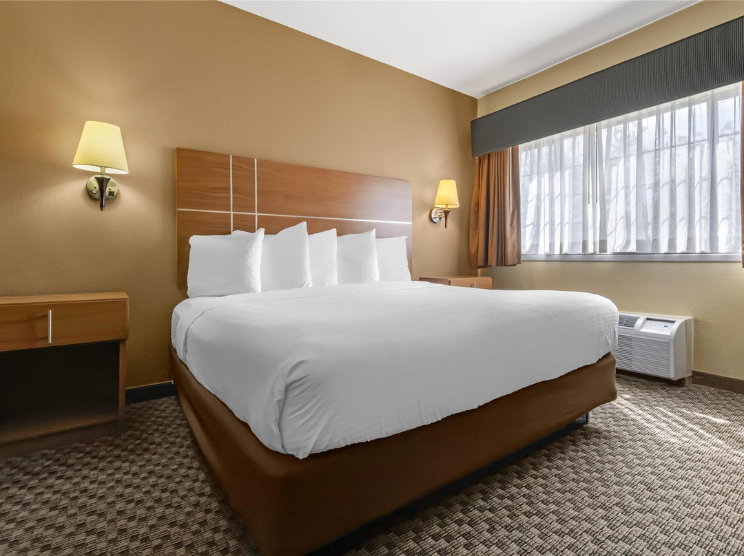 Alanreed酒店住宿-Best Western Plus Shamrock Inn & Suites