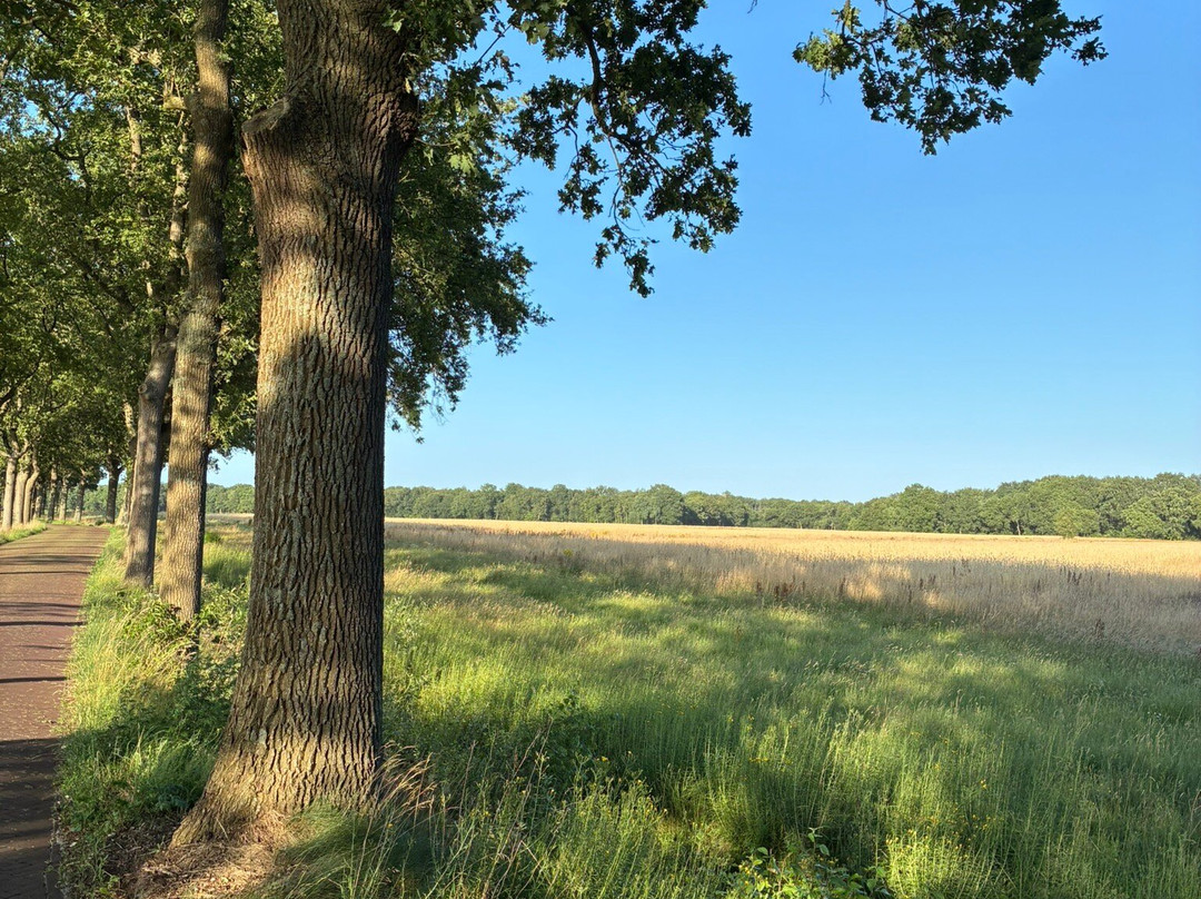 Nationaal Park Drentsche Aa-老磨坊必去景点