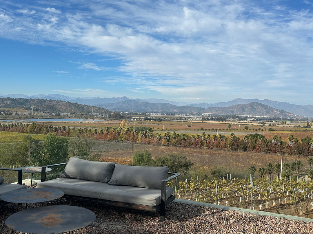 Kingston Family Vineyards-卡萨布兰卡必去景点