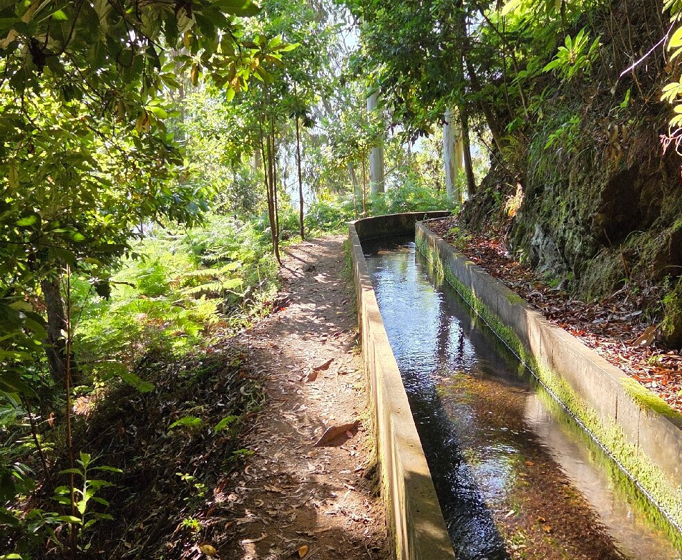 PR16 Levada Fajã do Rodrigues-Sao Vicente必去景点