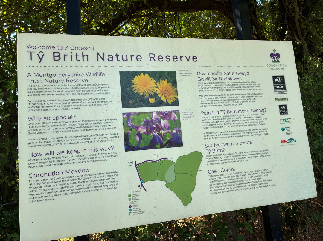 Ty Brith Nature Reserve-Llansantffraid-ym-Mechain必去景点