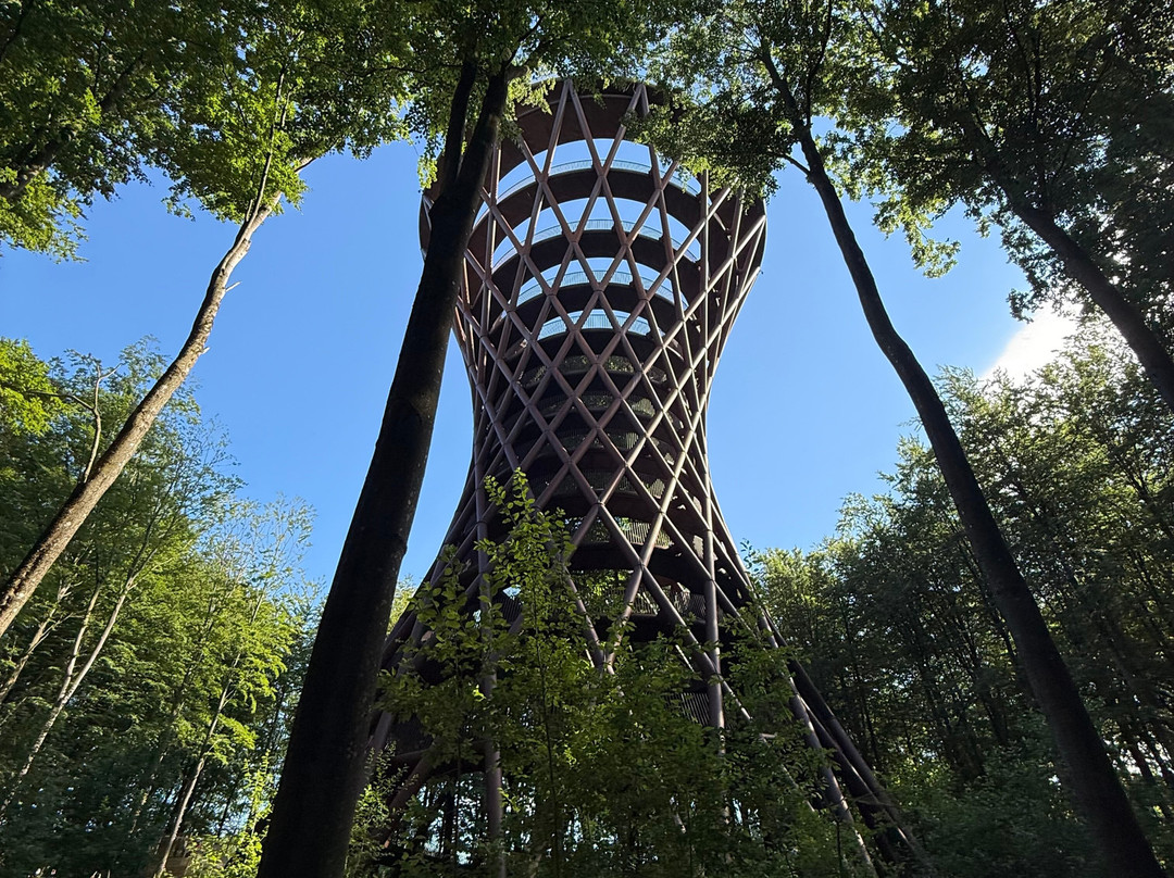 Forest Tower-Roennede必去景点