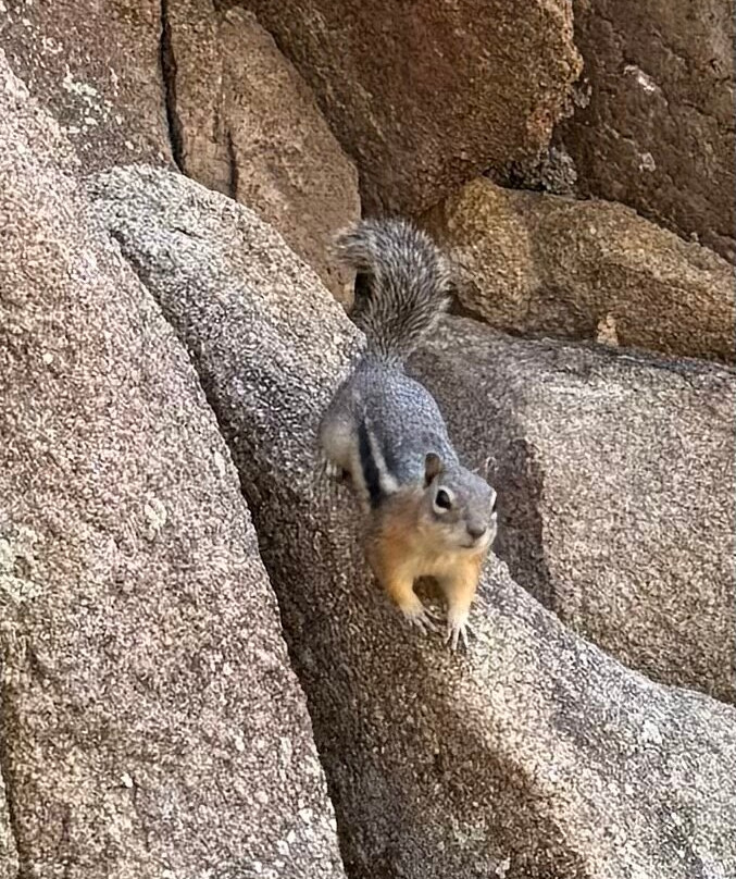 Estes Park Aerial Tramway-埃斯蒂斯公园必去景点