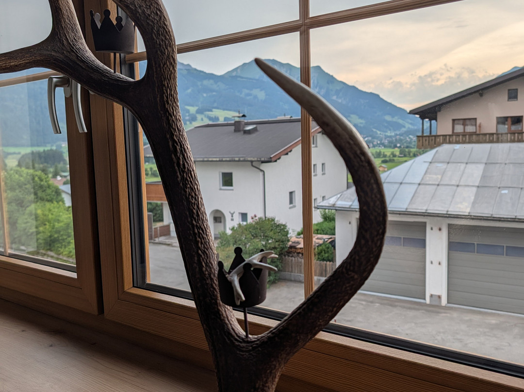 Hotel Zum Urviech -Erwachsenenhotel-主图