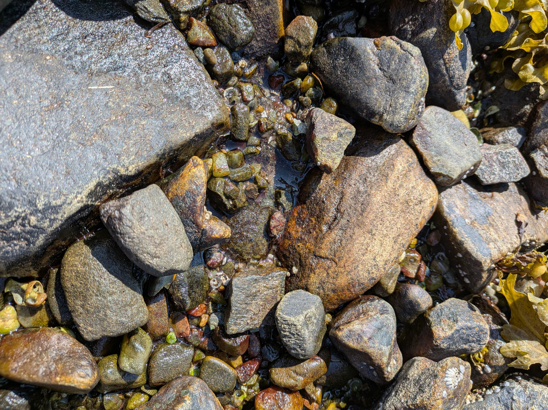 Ardnamurchan Charters-Acharacle必去景点
