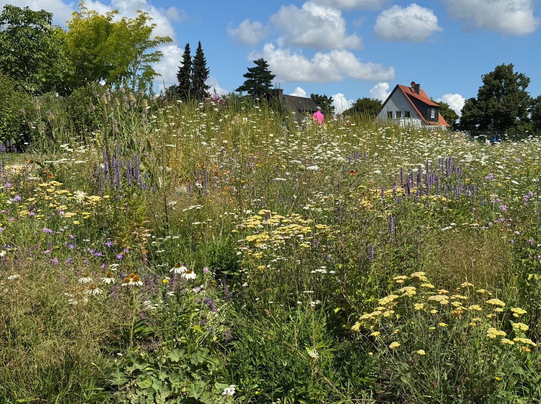 Landesgartenschau Bad Nenndorf 2026-巴特嫩多夫必去景点