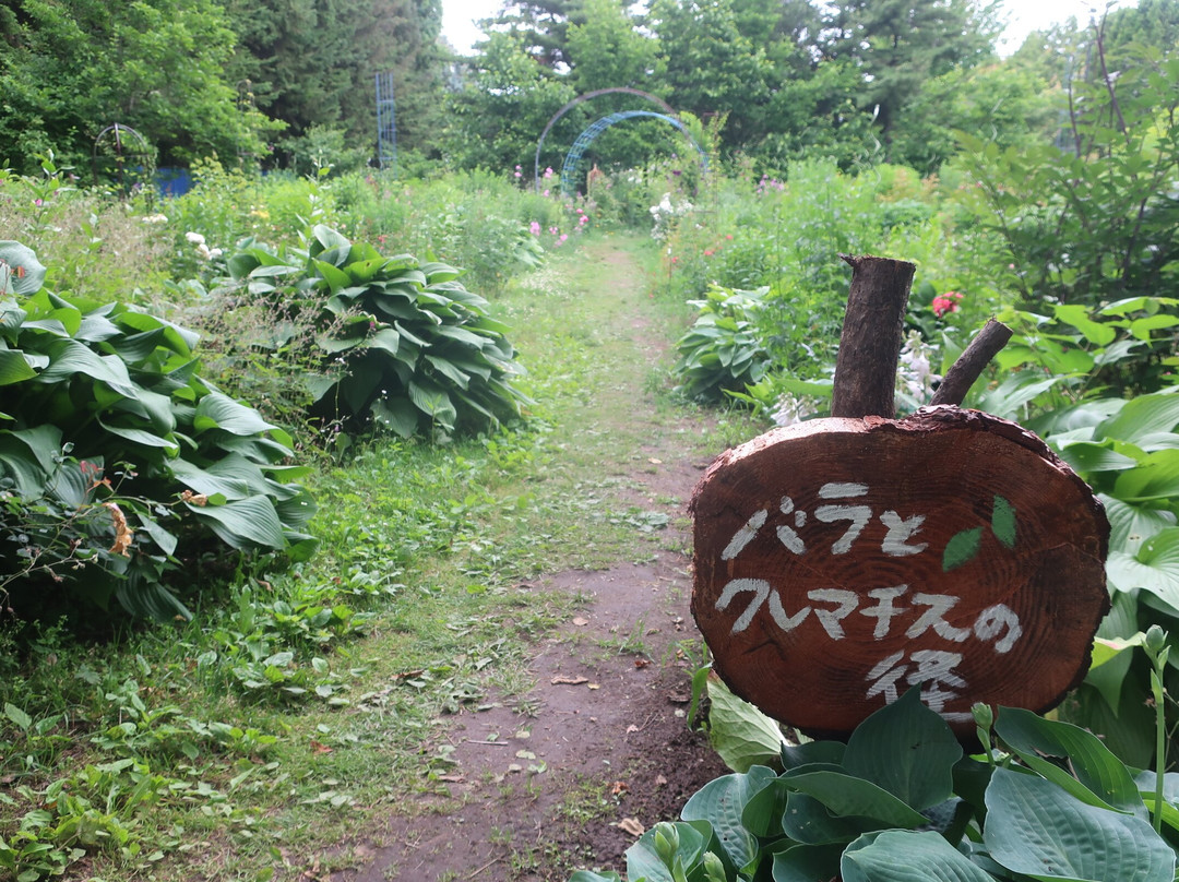 紫竹游华花园-带广市必去景点