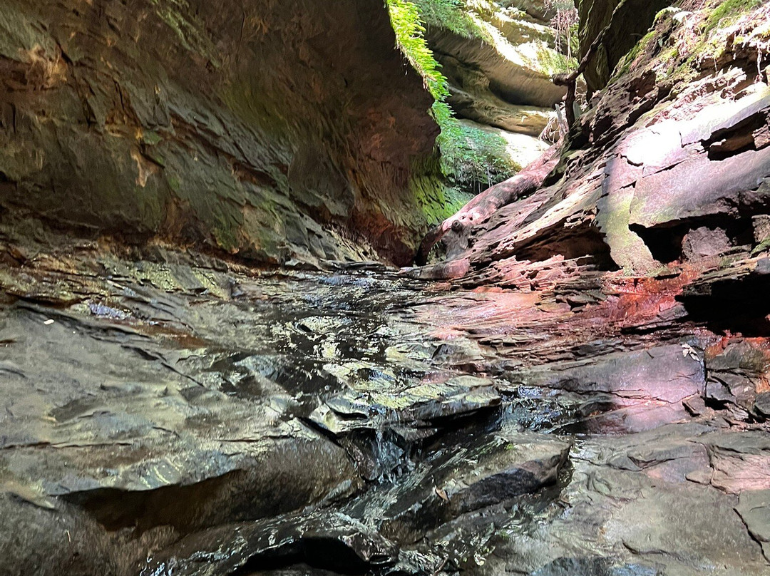 Turkey Run State Park-Marshall必去景点